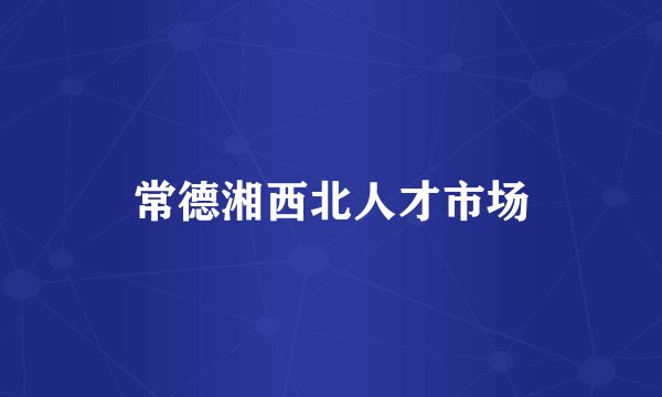 常德湘西北人才市场