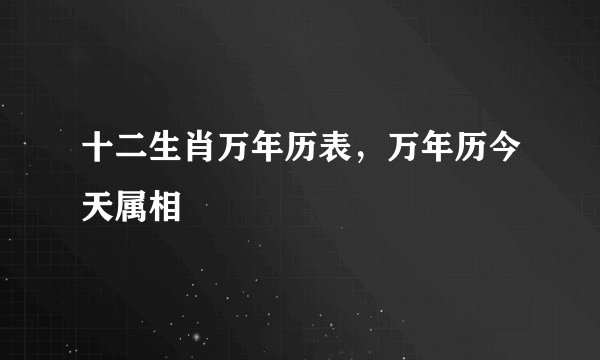 十二生肖万年历表，万年历今天属相