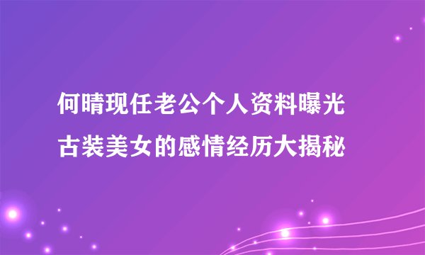何晴现任老公个人资料曝光 古装美女的感情经历大揭秘