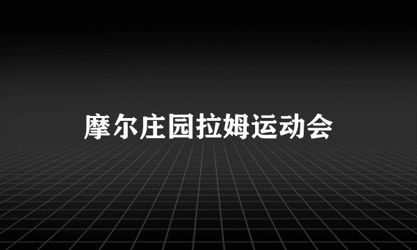 摩尔庄园拉姆运动会