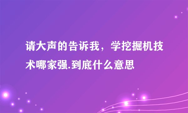 请大声的告诉我，学挖掘机技术哪家强.到底什么意思