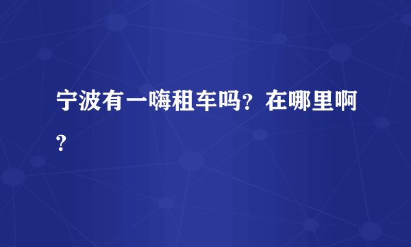 宁波有一嗨租车吗？在哪里啊？