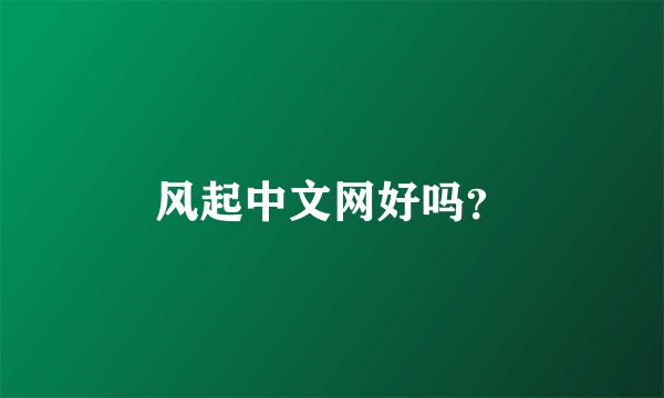 风起中文网好吗？