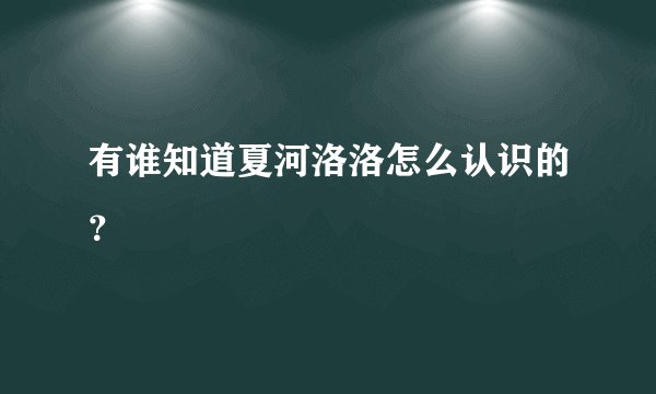 有谁知道夏河洛洛怎么认识的？