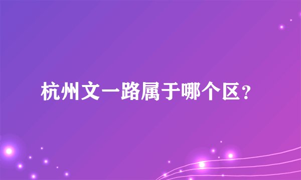 杭州文一路属于哪个区？
