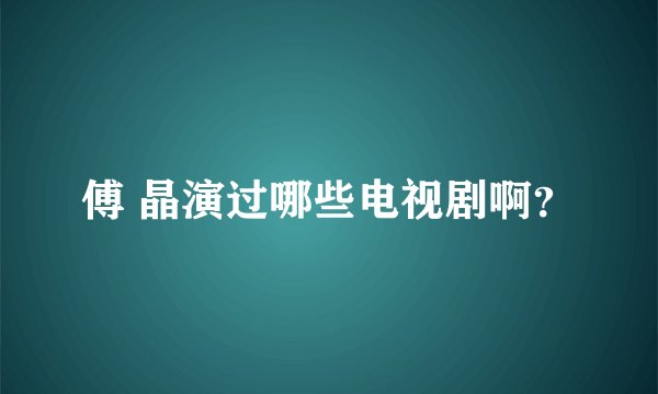 傅 晶演过哪些电视剧啊?