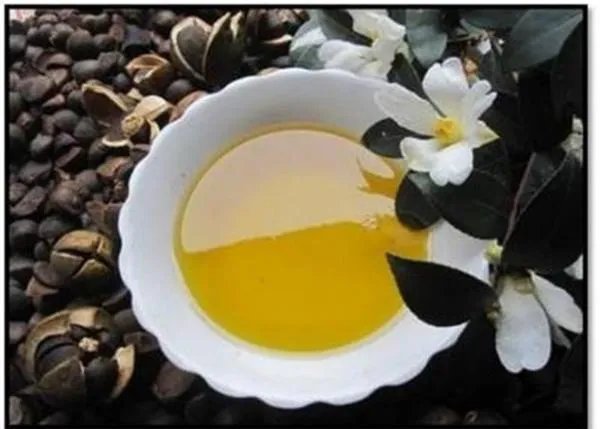 茶籽油和橄榄油的区别