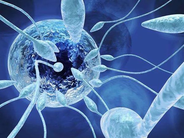 北京三甲医院冷冻精子一年的费用大约是多少？