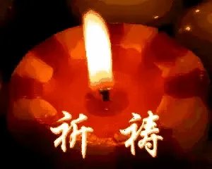 桑德斯退选意味着什么?