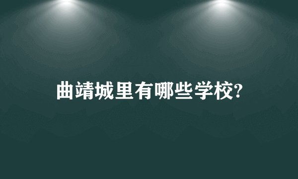 曲靖城里有哪些学校?