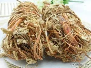 适合南方种植的懒人药材有哪些?