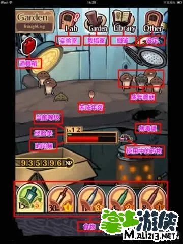 《滑子菇栽培》豪华版-简单攻略分享