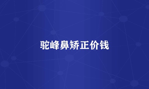 驼峰鼻矫正价钱