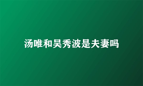 汤唯和吴秀波是夫妻吗