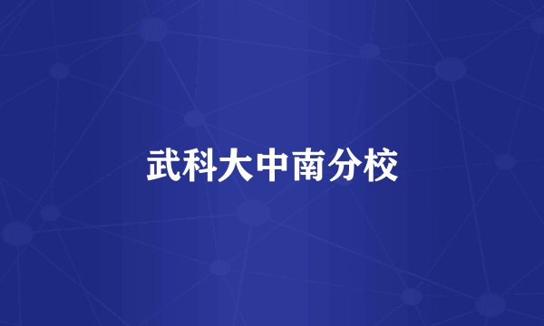 武科大中南分校