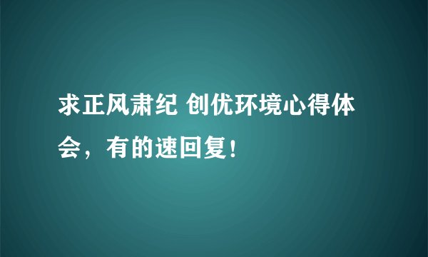 求正风肃纪 创优环境心得体会，有的速回复！