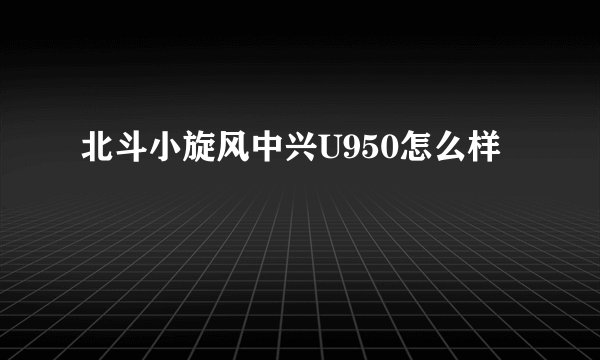 北斗小旋风中兴U950怎么样