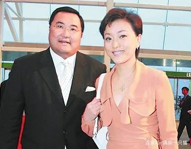 杨澜的老公是谁