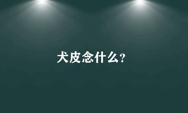 犬皮念什么？