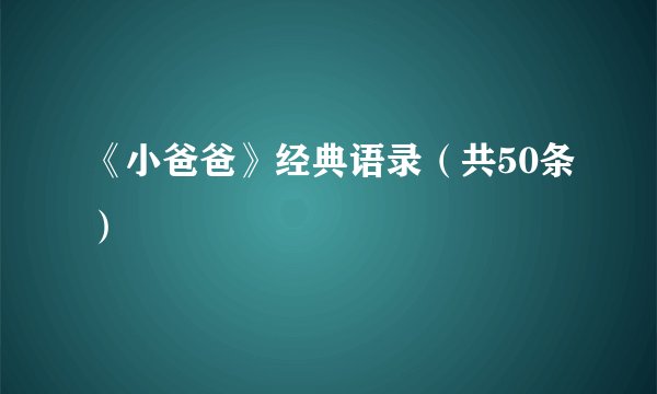 《小爸爸》经典语录（共50条）