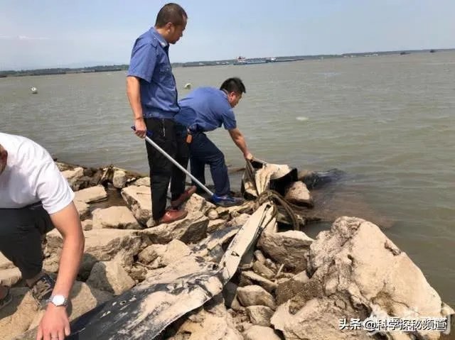 前几天出现的“三峡水怪”是什么,会是未知的生物吗?