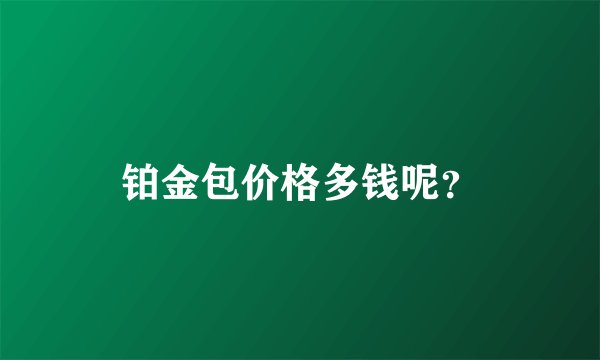 铂金包价格多钱呢？