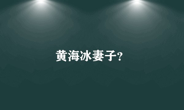 黄海冰妻子？