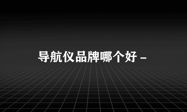导航仪品牌哪个好－