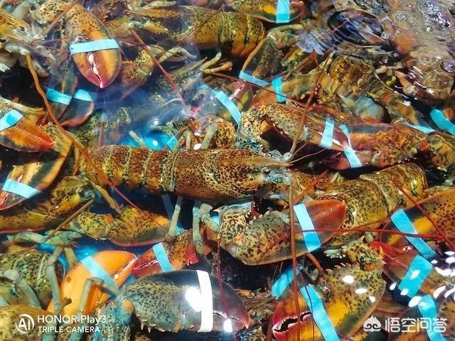 荣耀Play3拍照怎么样?是4800万像素吗?