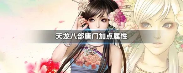天龙八部唐门加点属性