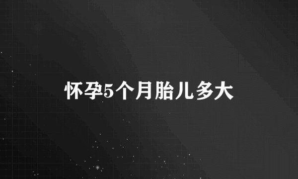 怀孕5个月胎儿多大
