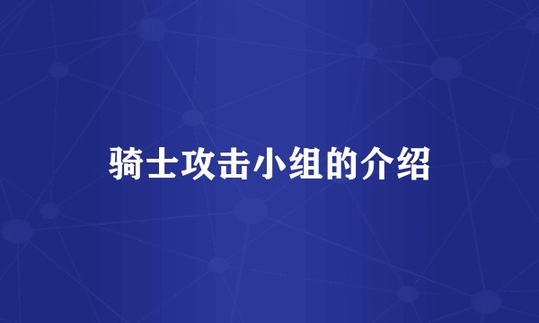 骑士攻击小组的介绍