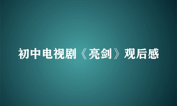 初中电视剧《亮剑》观后感