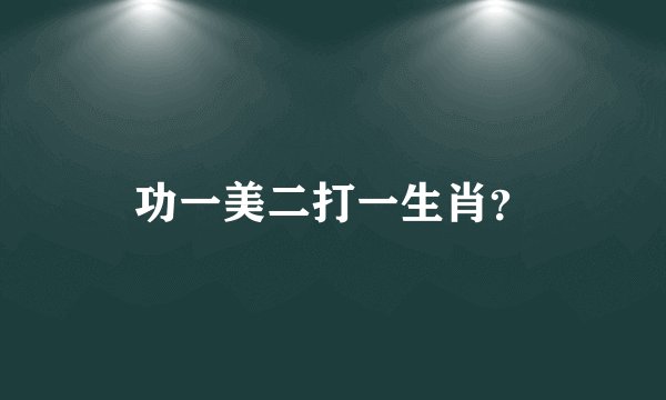 功一美二打一生肖？
