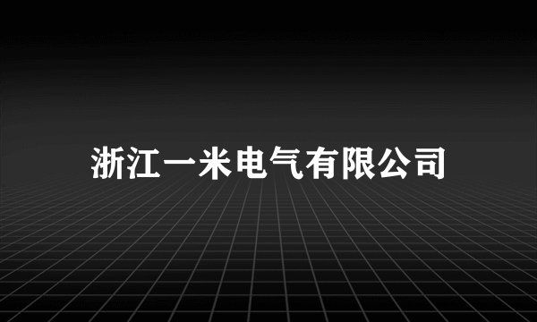浙江一米电气有限公司