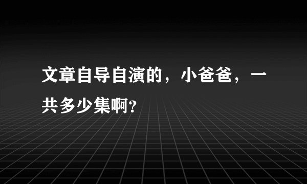 文章自导自演的，小爸爸，一共多少集啊？