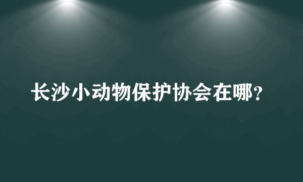 长沙小动物保护协会在哪?