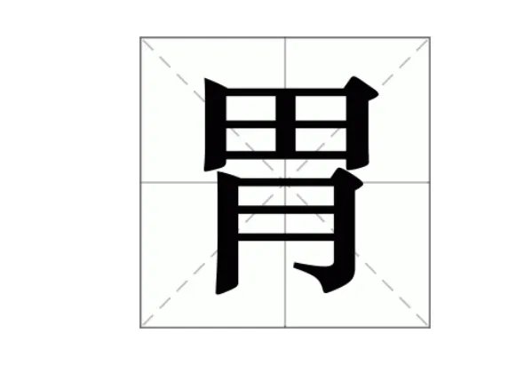 胃的组词。