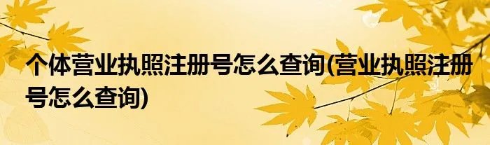 个体营业执照注册号怎么查询(营业执照注册号怎么查询)