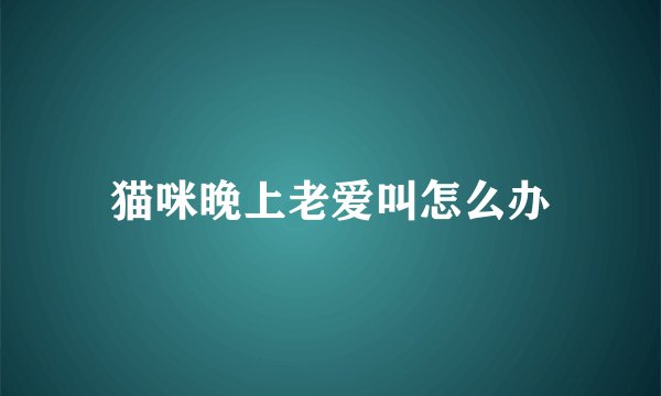 猫咪晚上老爱叫怎么办