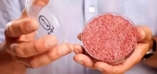 被企业热捧的人造肉，网友却不买账，人造肉是一门怎样的生意呢？