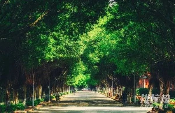 中国最美的十所大学排名_全国最美大学排名最新