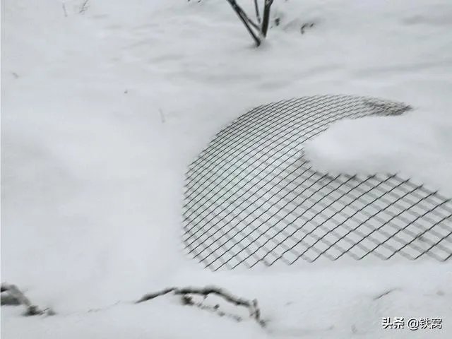 冬天国内旅游去哪些地方好?