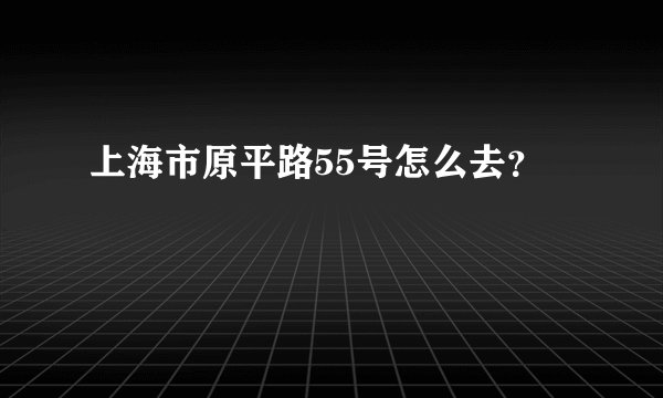 上海市原平路55号怎么去？