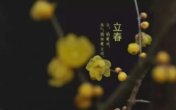 明天几点打春？