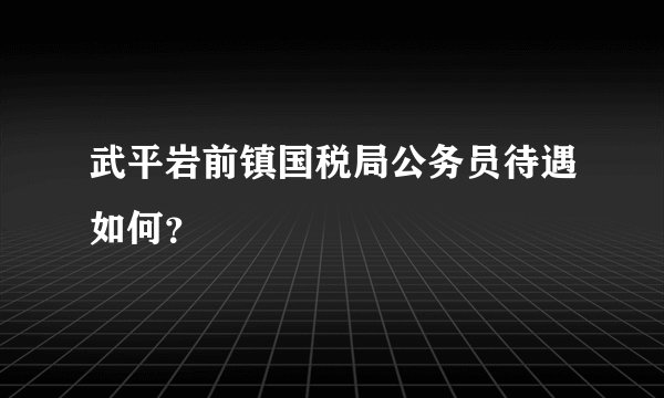 武平岩前镇国税局公务员待遇如何？