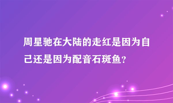 周星驰在大陆的走红是因为自己还是因为配音石斑鱼？