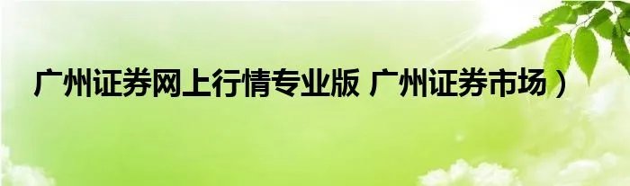 广州证券网上行情专业版 广州证券市场）