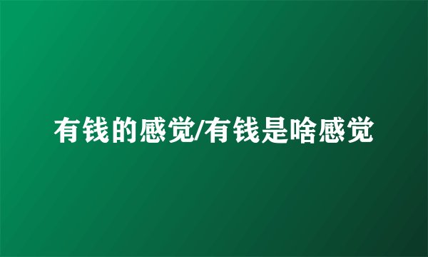 有钱的感觉/有钱是啥感觉