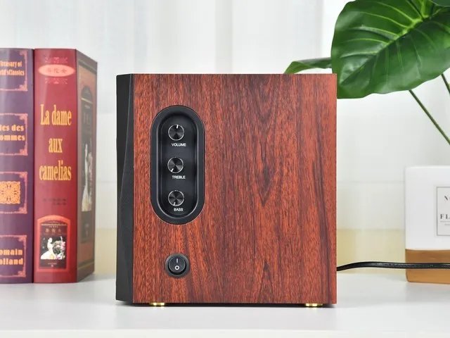 售价不到600元的惠威D1100HiFi音箱 为何这么受欢迎?